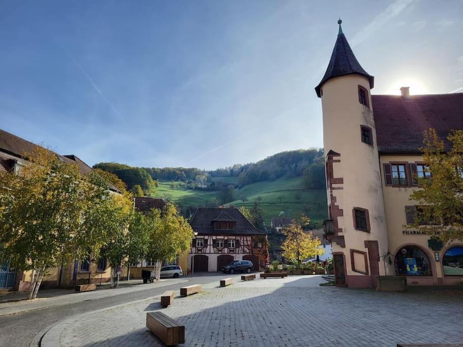 Au Coeur Du Val D'Argent Duplex Atypique A Sainte-Marie-Aux-Mines Leilighet Eksteriør bilde